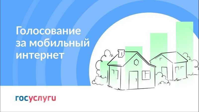 Давайте голосовать за подключение к интернету!.