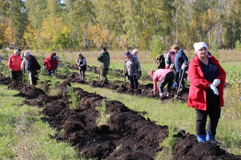 В районе продолжаются осенние субботники..